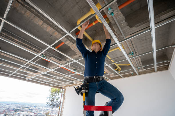 Best Plumbing Repair Near Me  in Frankfort, OH